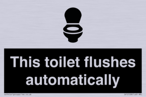 This toilet flushes automatically
